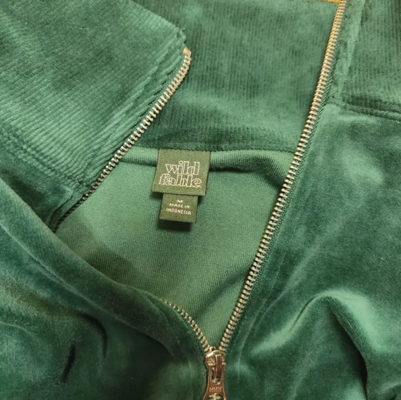 Wild Fable Womens Green 1/4 Zip Velour Shiny Stretch Tunic Sweatshirt Size M - Picture 3 of 4